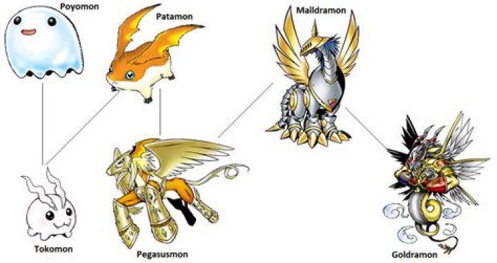 What can patamon Digivolve into?
