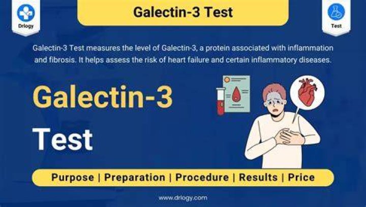 What causes high galectin-3?