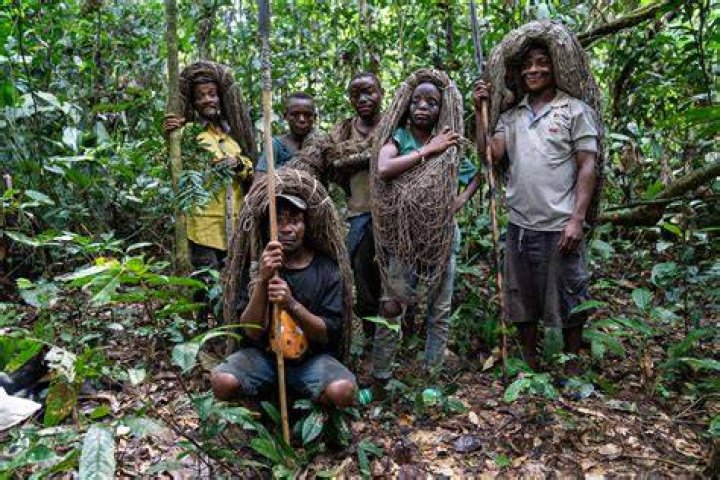 What challenges have the Mbuti faced as far as trying to maintain their way of life?