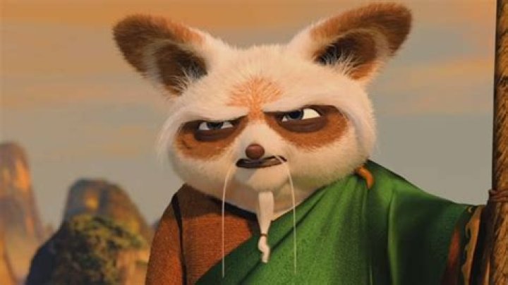What creature is Master Shifu?