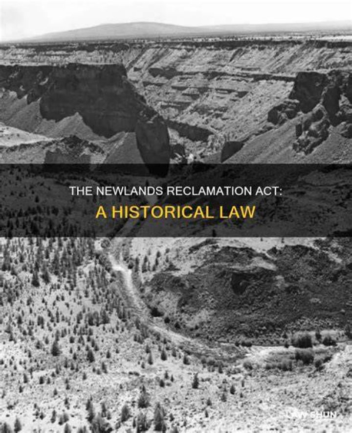 What did the Newlands Act do?