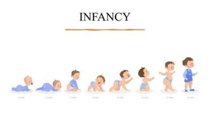 What do you mean by infancy period?