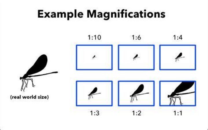 What does 5x magnification mean?