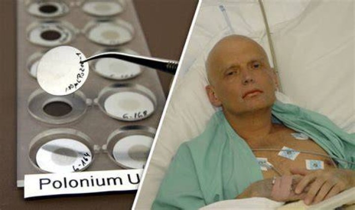 What does polonium-204 do to your body?