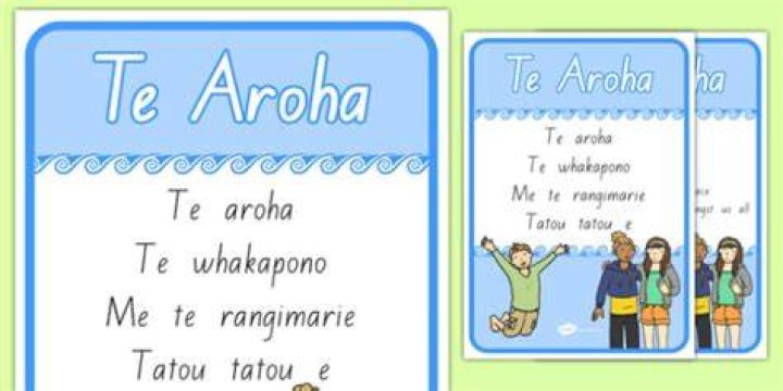 What does the name Te Aroha mean?