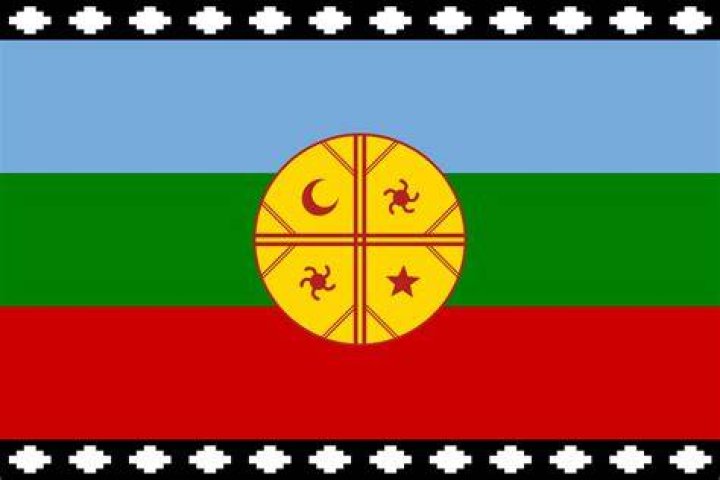 What does this Mapuche flag symbolize?
