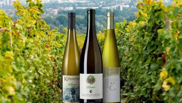What grape is German wine mainly made from?
