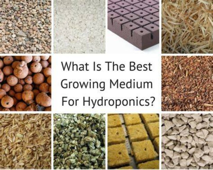 What growing medium is best for hydroponics?