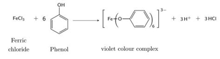 What happens when phenol react with FeCl3?