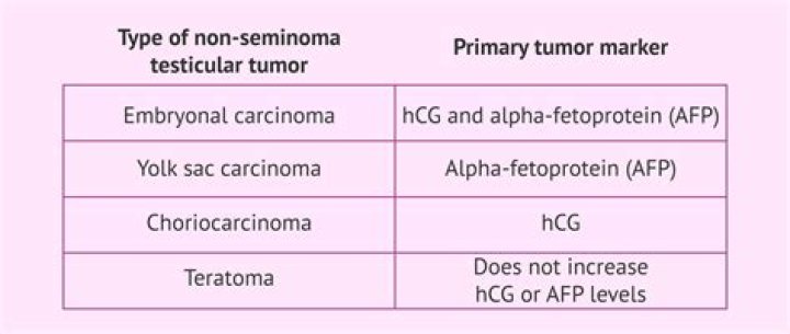 What is a Nonseminomatous germ cell tumor?