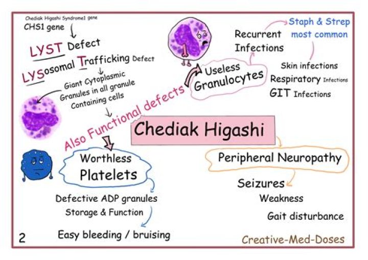 What is Chediak-Higashi Syndrome?