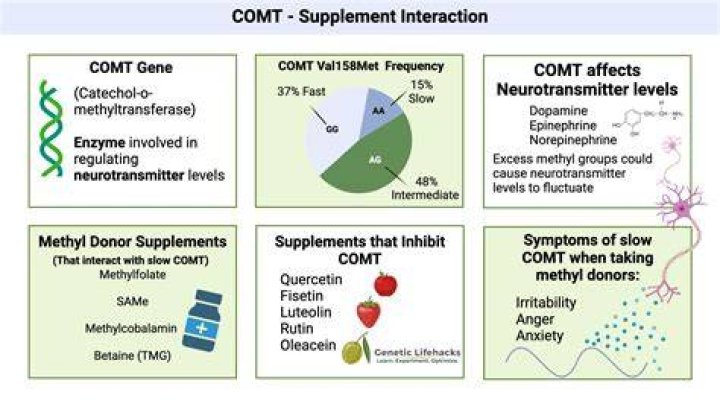 What is COMT genotype?