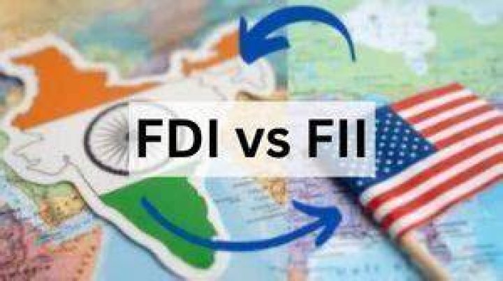 What is FDI and FII?