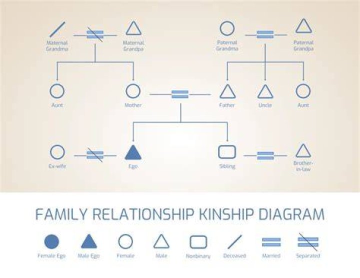 What is kinship chart?