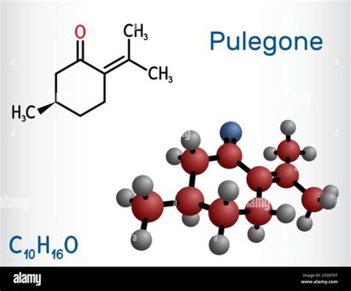 What is pulegone good for?
