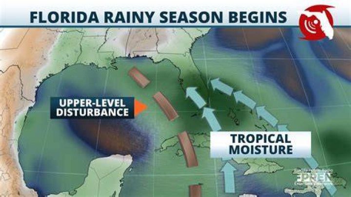 What is rainy season in Florida?