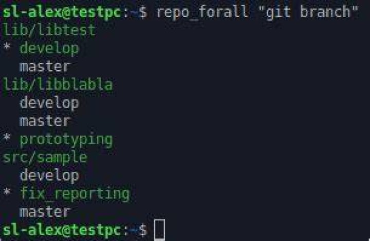 What is repo forall?