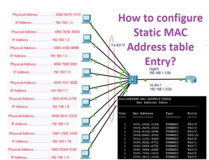 What is static and dynamic in MAC address table?