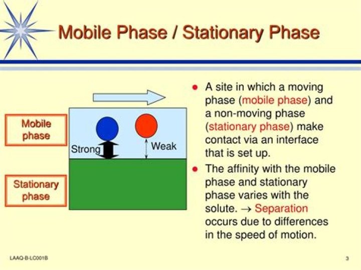What is stationary phase and mobile phase?