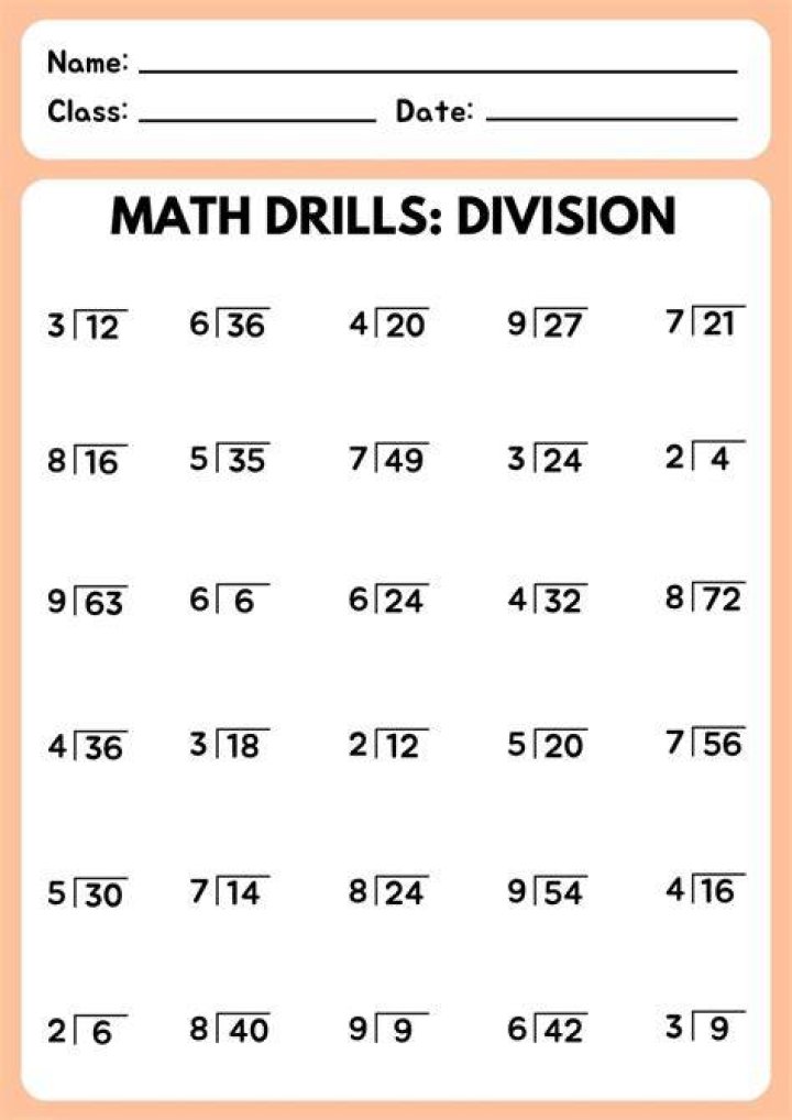 What is the format of the division worksheets?