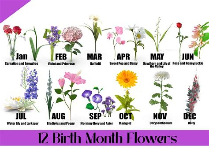 What is the name of the flower for May?