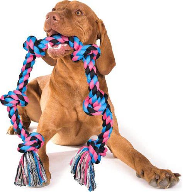 What is the strongest rope toy for dogs?