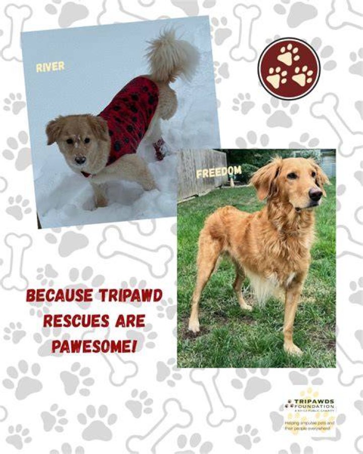 What is Tripawds?