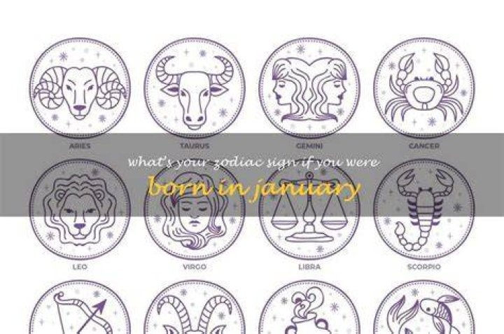 What is Zodiac sign if you were born on January 20?
