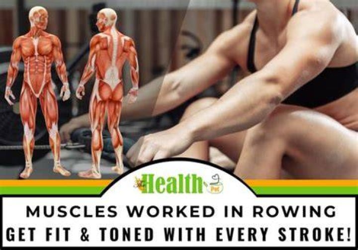 What muscles get toned from rowing?