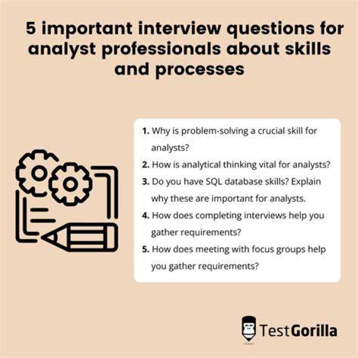 What questions should a system analyst ask?