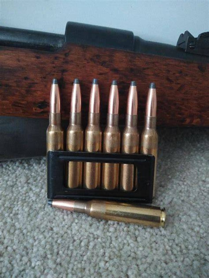 What rounds can a Carcano shoot?
