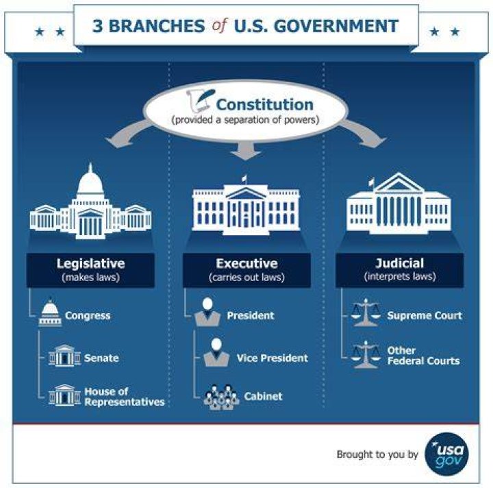 What separates the government into 3 branches?