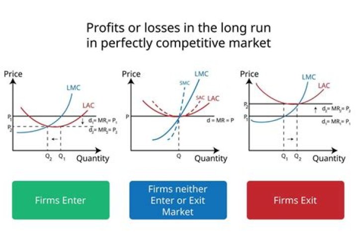 What type of firm is an individual perfectly competitive firm?
