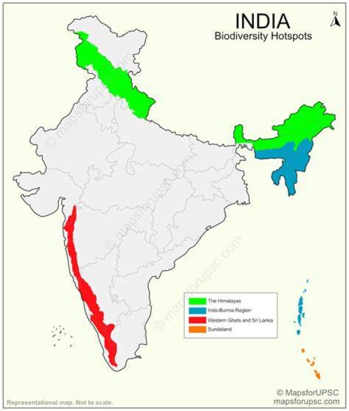 Where are biodiversity hotspots located in India?