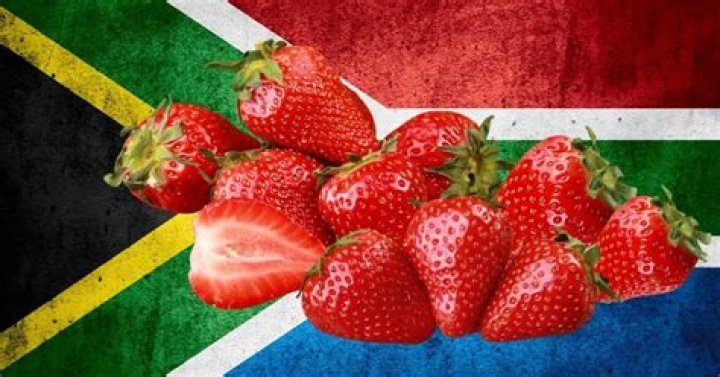 Where are strawberries grown in South Africa?