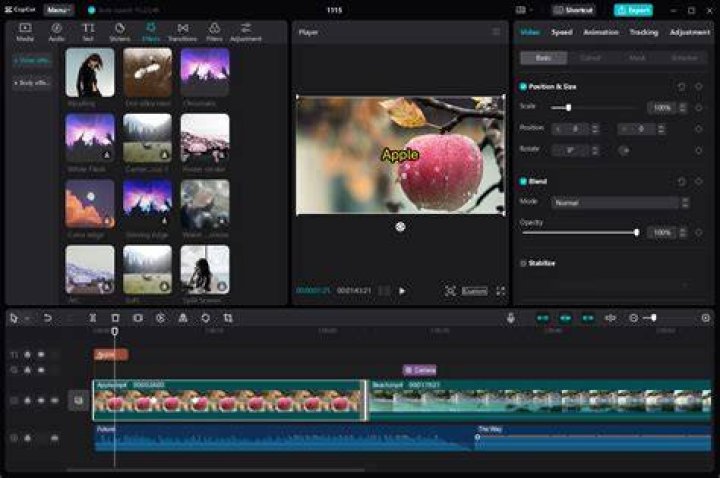 Where can I editor my pictures like professionals for free?