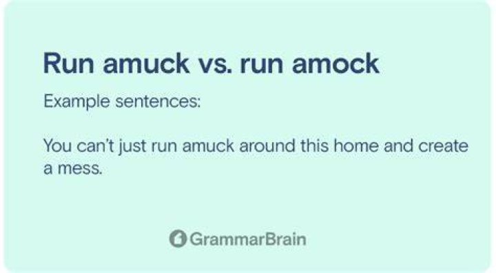 Where did the term run amok come from?