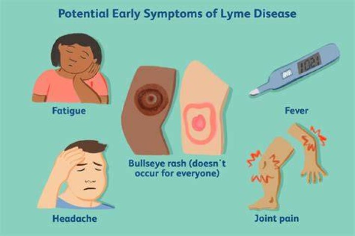 Which are correct early signs and symptoms of Lyme disease?