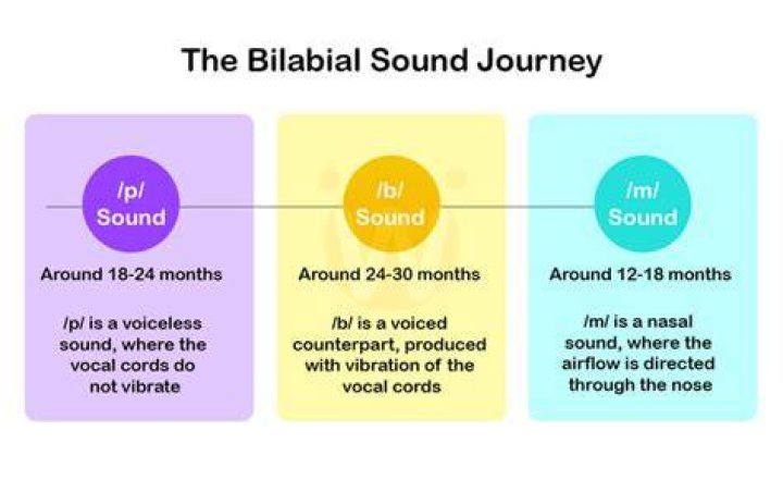 Which sounds are classified as bilabial?