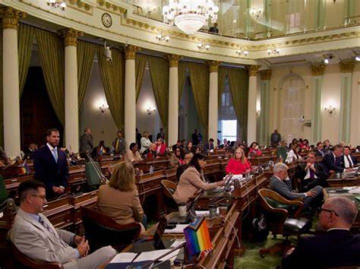 Who can introduce bills in California?