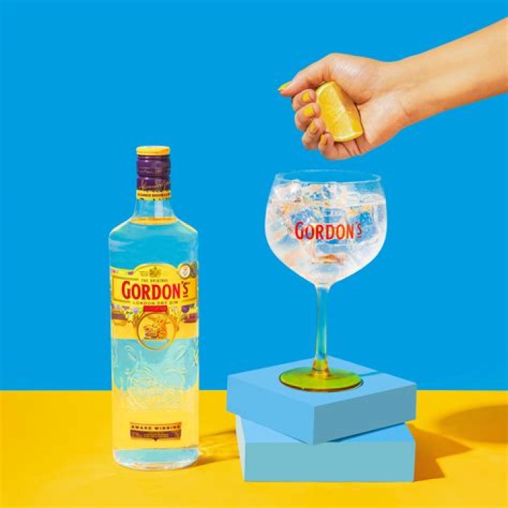 Who is in the Gordons Gin advert?