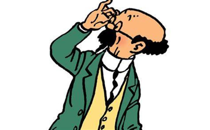 Who is Tournesol in Tintin?