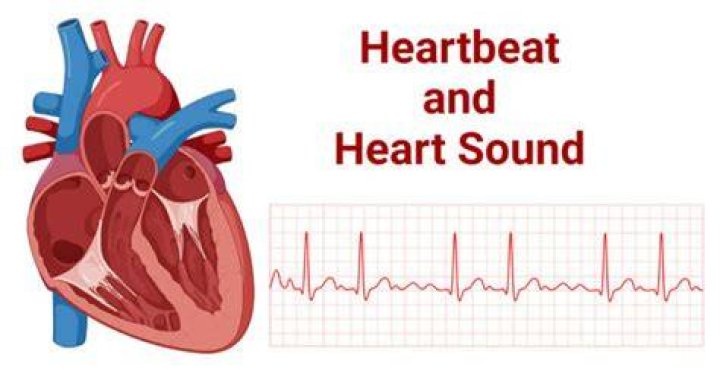Why does my heartbeat sound like clicking?