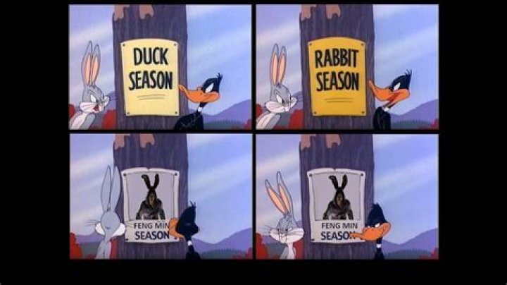 Why was Wabbit Season taken down?