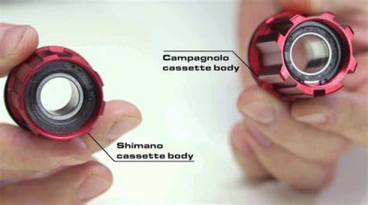 Will a Shimano cassette work with Campagnolo freehub?